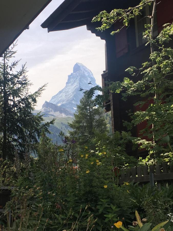 Mountain Apartments Zermatt Nr 6 Eksteriør bilde